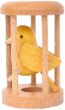Canary_web.jpg